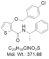 GLXC-02931