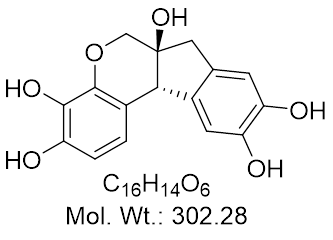 GLXC-22041