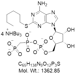 GLXC-22298