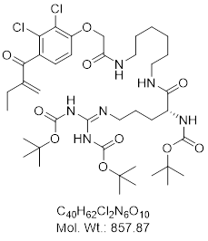 GLXC-22437