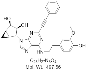 GLXC-22508