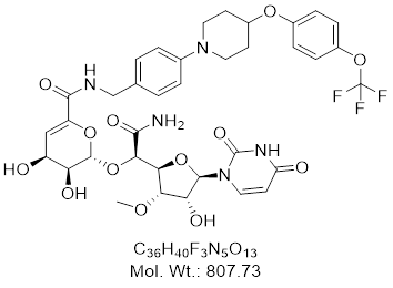 GLXC-22942