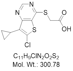 GLXC-23102