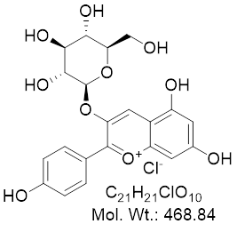 GLXC-13974