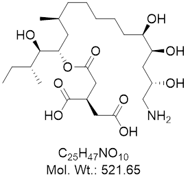GLXC-18589