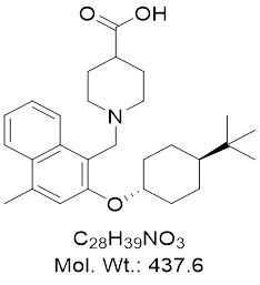 GLXC-23565
