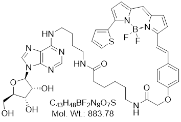 GLXC-23840