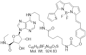 GLXC-23841