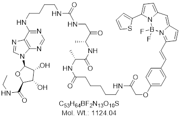 GLXC-23842