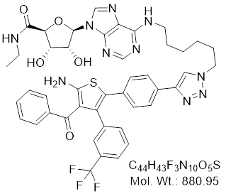 GLXC-23938