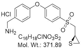 GLXC-23963