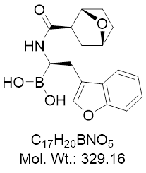 GLXC-24210