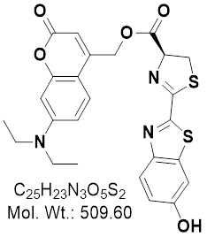 GLXC-24296