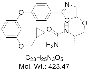GLXC-24570