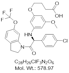 GLXC-24666