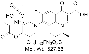 GLXC-24804