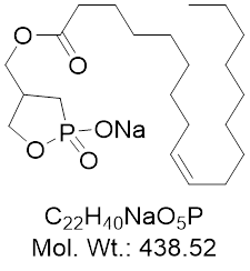 GLXC-24848