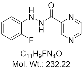 GLXC-24937