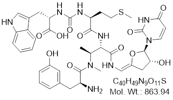 GLXC-24954