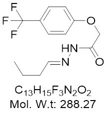GLXC-24987