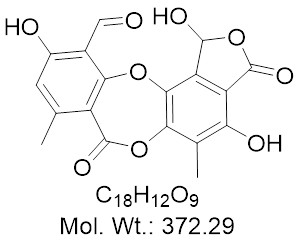 GLXC-26028