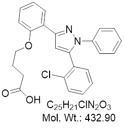 GLXC-27251