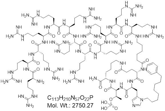 GLXC-28056