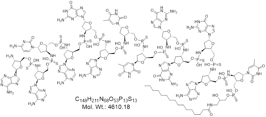 GLXC-28606