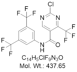 GLXC-28981