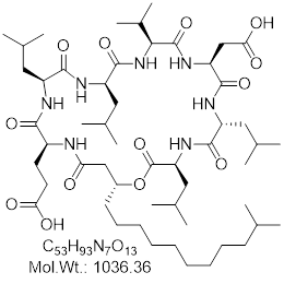 GLXC-29657