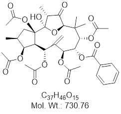 GLXC-13592