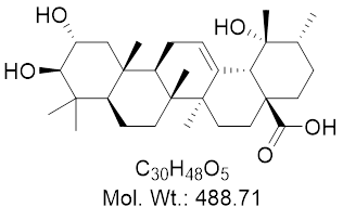 GLXC-13594
