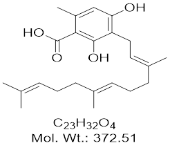 GLXC-13609