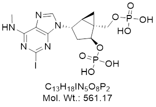 GLXC-11560
