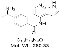 GLXC-11803