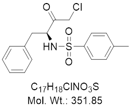 GLXC-11873