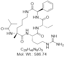 GLXC-11904