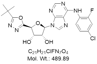 GLXC-12344