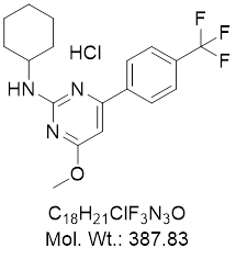 GLXC-12649