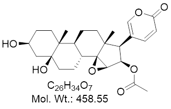 GLXC-13677