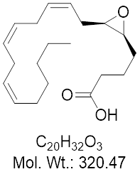 GLXC-21203