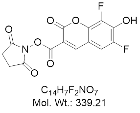 GLXC-21248