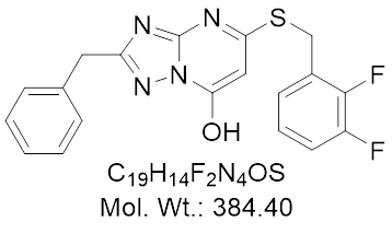 GLXC-21338