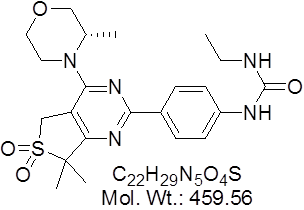 GLXC-10260