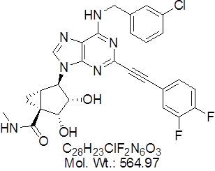 GLXC-10267
