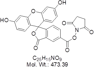 GLXC-10847