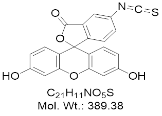 GLXC-10848