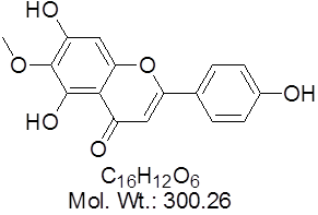 GLXC-09028