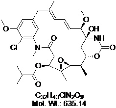 GLXC-05848