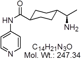 GLXC-08472